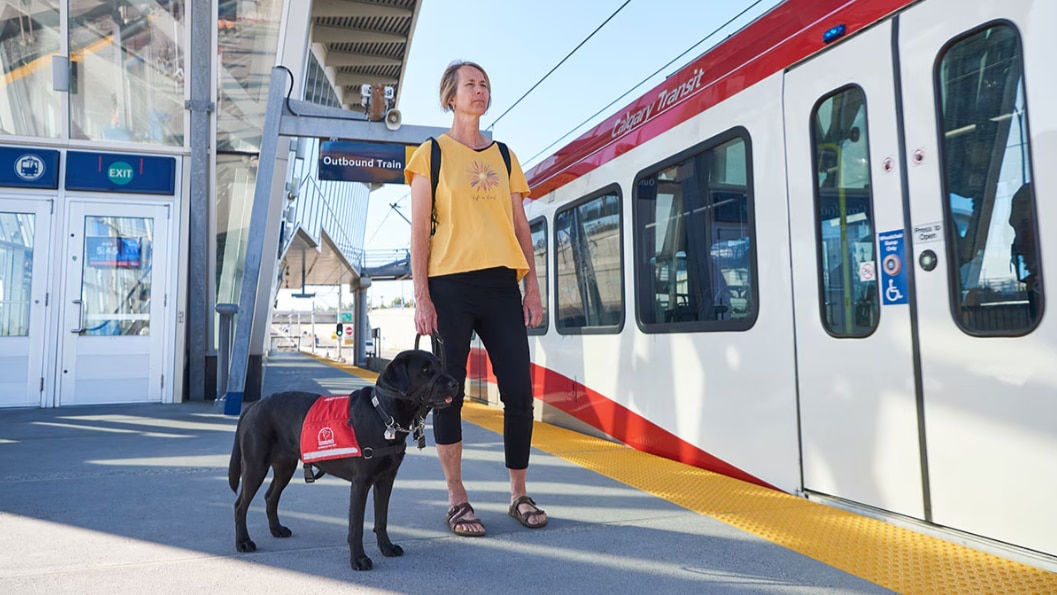 A partner & a friend: a Dog Guide story