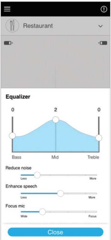 Screenshot from the app showing an equalizer