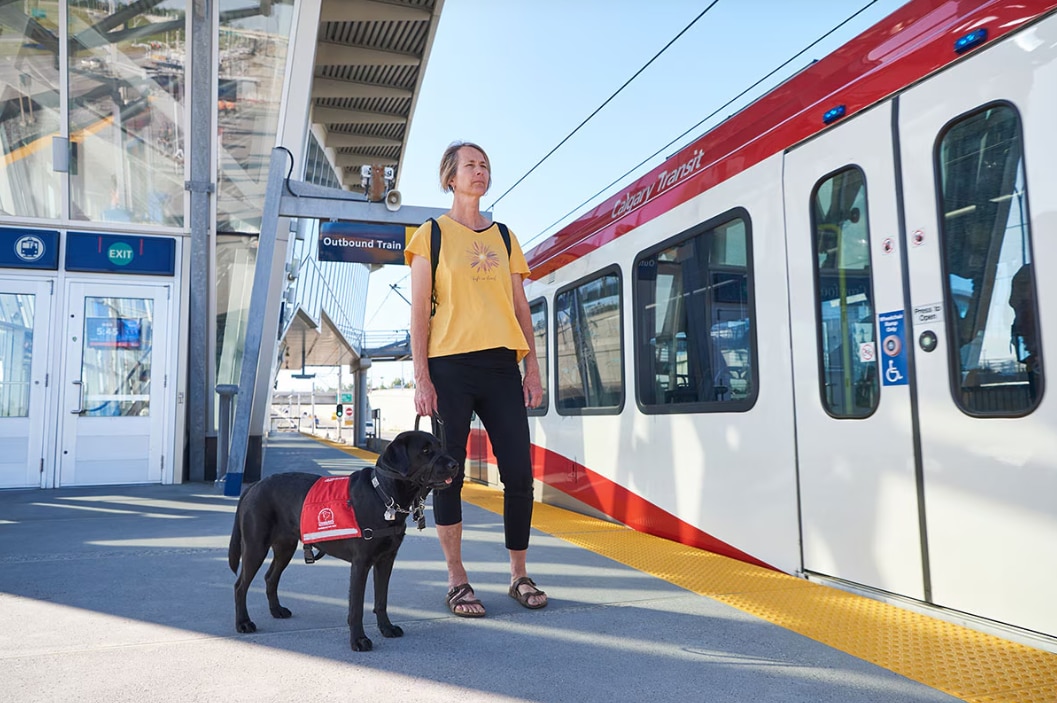 A big black guide dog and his owner are standing on a platform, waiting for a train